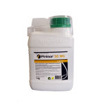 Pirimor 50 WG (1 kg)