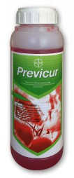 Previcur Energy (1 l)