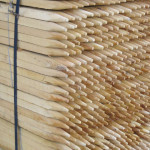 Kůl opěrný 150 cm 2,2x2,2 cm akátový se špicí