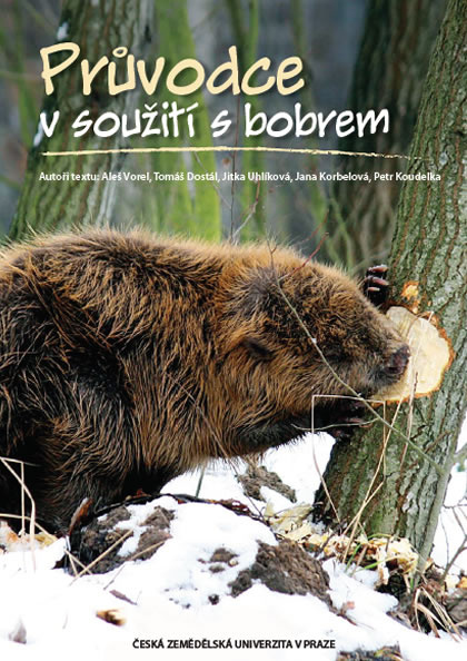 souziti-s-bobrem.jpg